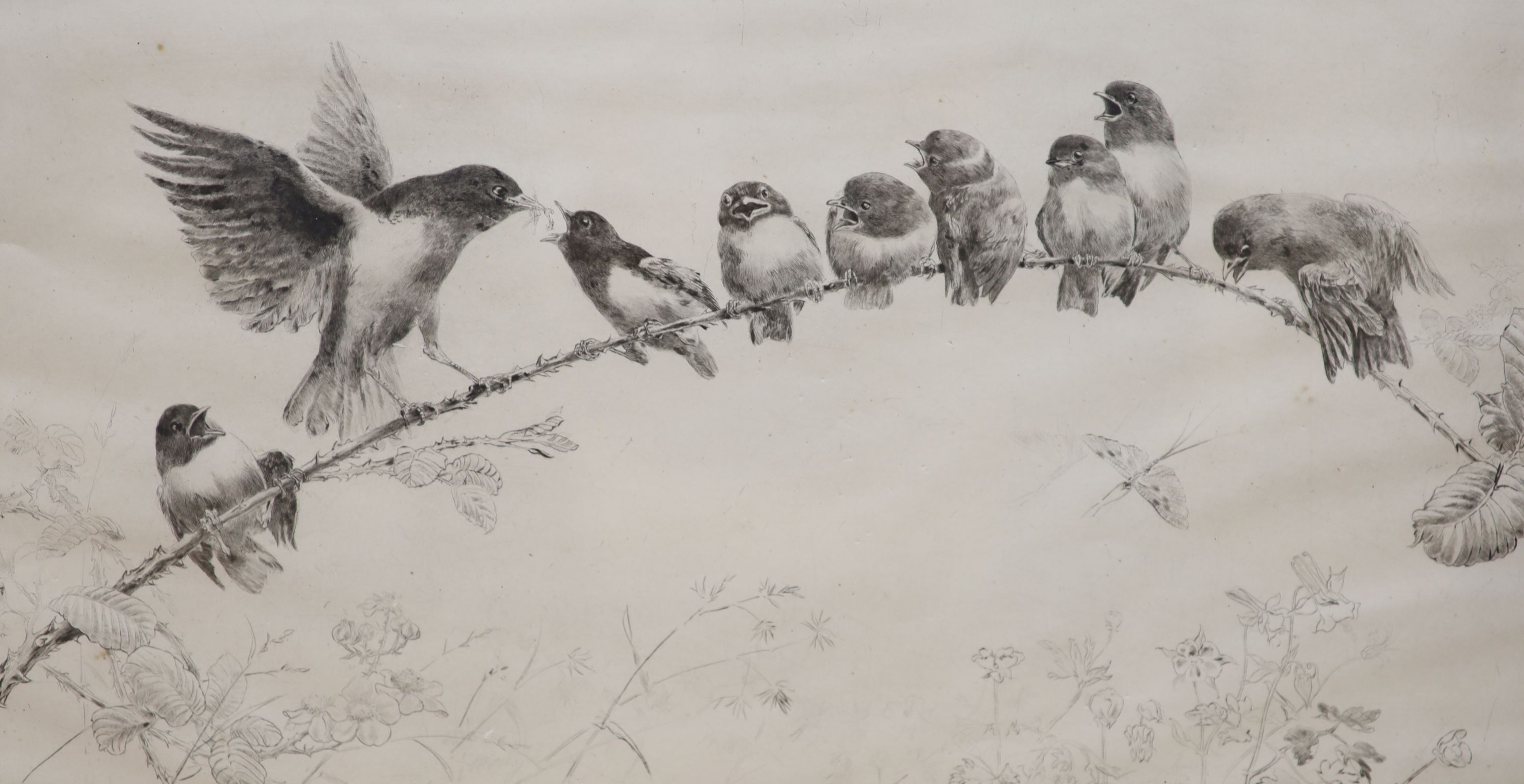 Leonard Robert Brightwell (1889-1983), etching, Early Birds, signed in pencil, 20 x 38cm